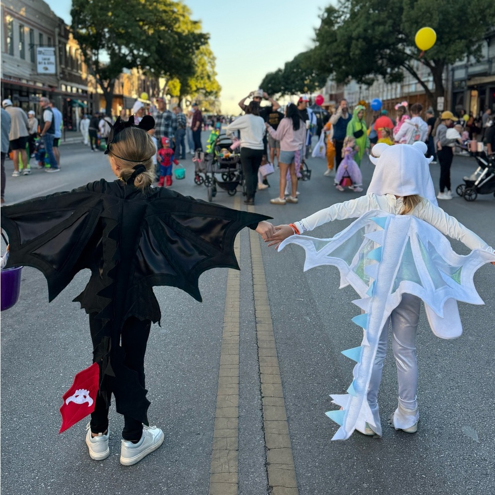 Kids Dragon Costume Set - Black and White. Toothless and Light Fury